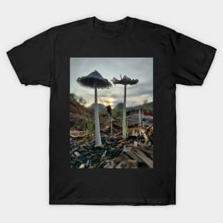 Mushrooms And Morning Dew T-Shirt